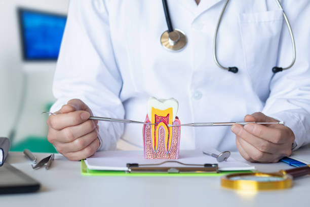 Best Emergency Wisdom Teeth Removal in Sandy Springs, SC